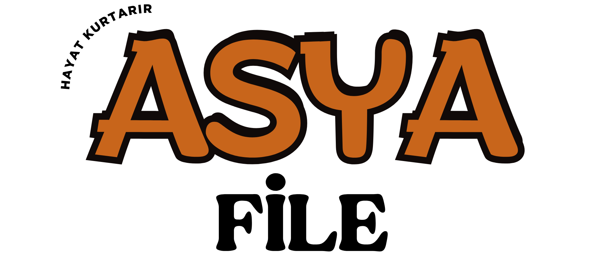 Asya Güvenlik Filesi | Kedi, Kuş, Balkon, Havuz, İnşaat ve İskele Filesi Çözümleri
